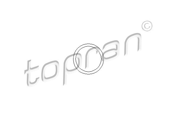 Tesnenie obalu termostatu TOPRAN